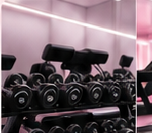 Rows of dumbbells on a rack